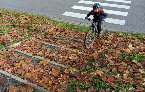 Entrainement VTT avec la section compétition